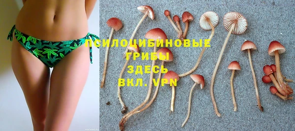 ПСИЛОЦИБИНОВЫЕ ГРИБЫ Армянск
