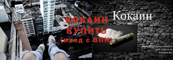 ПСИЛОЦИБИНОВЫЕ ГРИБЫ Армянск