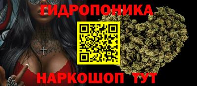 стафф Владимир