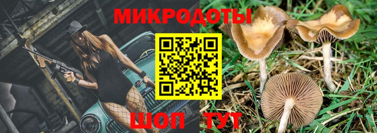 Копейск  Псилоцибиновые грибы прущие грибы  Вход с VPN 