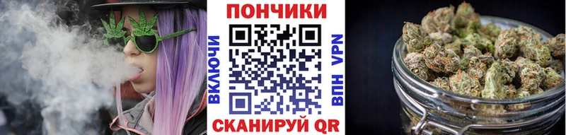 Канабис ГИДРОПОН  цена наркотик  mega ТОР  Копейск 